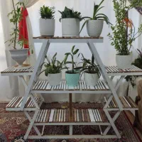 استندام دی اف زیبا