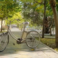 دوچرخه ژاپنی برقی