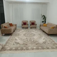 فرش و مبل|فرش|شاهرود, |دیوار