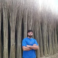 نهالستان علیزاده فروش‌ انواع رقم نهال گلدانی