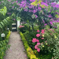 فروش ویلا 650 متل قو|فروش خانه و ویلا|سلمان‌شهر, |دیوار