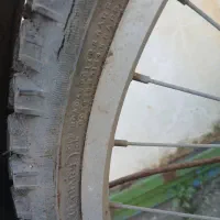 دوچرخه قناری|دوچرخه، اسکیت، اسکوتر|بندر انزلی, پیل علی باغ|دیوار