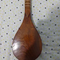 سه تار زیر عبایی استاد عشقی|سازهای سنتی|تهران, آذری|دیوار