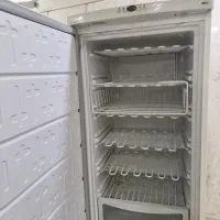 فریزر مارک صنام