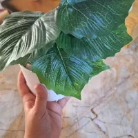 دکوری|صنایع دستی و سایر لوازم تزئینی|مشهد, امامیه (شهرک غرب)|دیوار