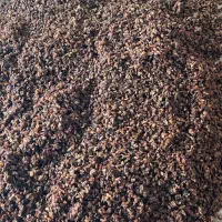 کشمش رضوی کاشمر|عمده‌فروشی|چالوس, |دیوار