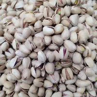 پسته دستچین