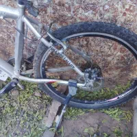 دوچرخه|دوچرخه، اسکیت، اسکوتر|تربت جام, شهید مدرس|دیوار