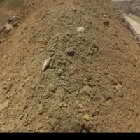 انواع کودهای حیوانی