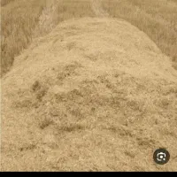 کاه گندم  110