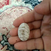 سنگ شجر کیفیت بالا