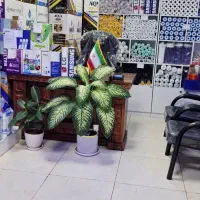 فروشگاه تصفیه آب مرکزی اسلامشهر