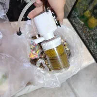 آکواریوم|ماهی|یاسوج, |دیوار