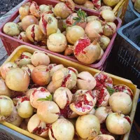 انار .خطی.ترکیده.رب انار درجه یک|حراج|تفت, |دیوار