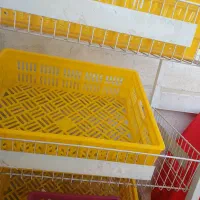 سبد بزرگ میوه|ظروف نگهدارنده، پلاستیکی، یک‌بارمصرف|مشهد, الهیه|دیوار