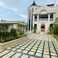 تریبلکس آسانسوردارفول فرنیش /پایان کارخاص پسند