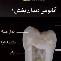 آموزش دستیاری