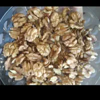 گردو فردو