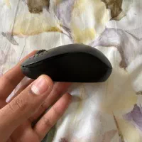 موس HP|قطعات و لوازم جانبی رایانه|کیش, |دیوار