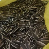 تخمه|خوردنی و آشامیدنی|ارومیه, |دیوار