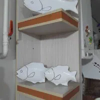 ماهی دکوری چینی