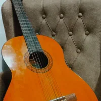 معاوظه با ویلن .