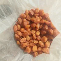 فروش زمین کشاورزی