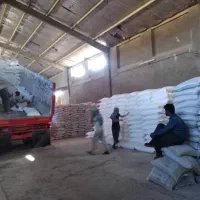 خریدار کود سفید یا( اوره) در محل شما