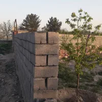 باغ فروشی جاده جوکال بعد از سمندر