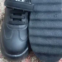 کفش اسپرت|کیف، کفش، کمربند|بیرجند, |دیوار