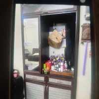 جاکفشی بزرگ