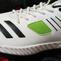 کفش بزرگ پا ادیداس اصل|کیف، کفش، کمربند|ابریشم, |دیوار