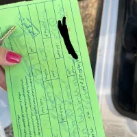 تخم بوقلمون نطفه دار با ضمانت نامه کتبی ۸۰ درصدی|حیوانات مزرعه|لنگرود, |دیوار