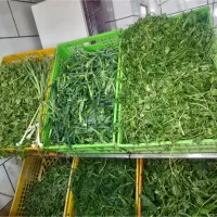 سبزی خرد کنی
