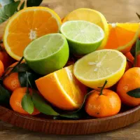 اجاره باغ مرکبات و لیمو شما