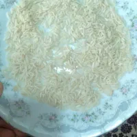 ۲۰ کیلو برنج هاشمی سورتینگ شده فوق اعلا به فروش