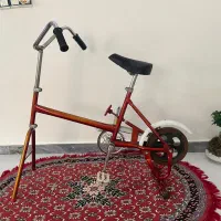 دوچرخه ثابت