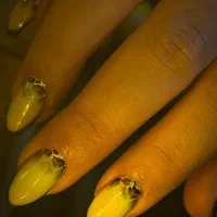 کاشت ناخن تخفیفی|خدمات آرایشگری و زیبایی|رشت, معلم|دیوار