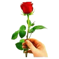 فروش یا معاوضه زمین