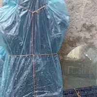 مانکن . رگال . دزد گیر|فروشگاه و مغازه|میاندوآب, |دیوار