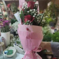 پخش و فروش انواع گلهای شاخه بریده ودسته گل وباکس|گل و گیاه طبیعی|رشت, گلسار|دیوار