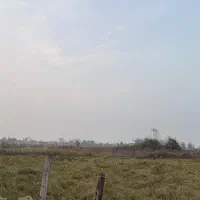 فروش شالیزار