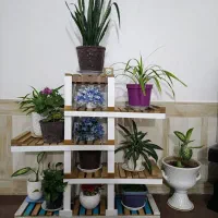 استندگل