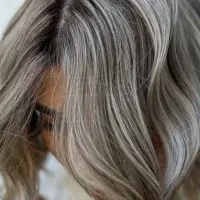 به چند مدل برای هایلایت نیازمندیم
