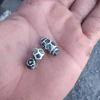 خرید و فروش کرمان هرمزگان|گردهمایی و همایش|منوجان, |دیوار