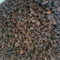 مویز آفتابی شیره|خوردنی و آشامیدنی|شیراز, میانرود|دیوار