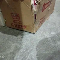 گمشده مژدگانی