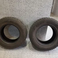 لاستیک اکوویژن