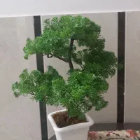 درختچه مصنوعی نو