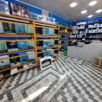 پخش ماهی زینتی و لوازم